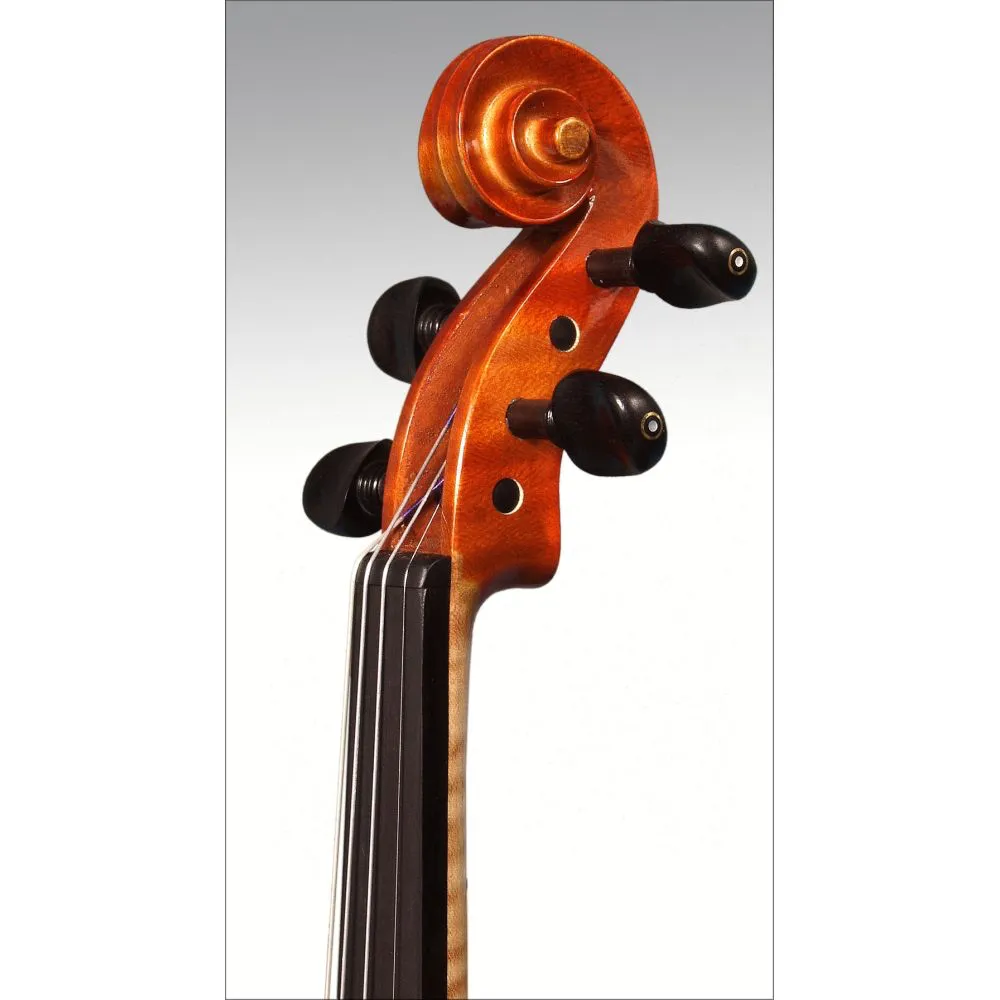 ARS 028 Violin Outfit, 4/4