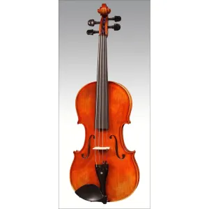 ARS 028 Violin Outfit, 4/4