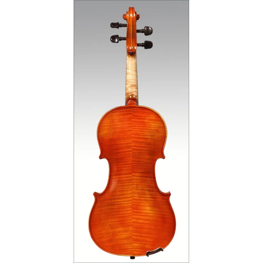 ARS 028 Violin Outfit, 4/4