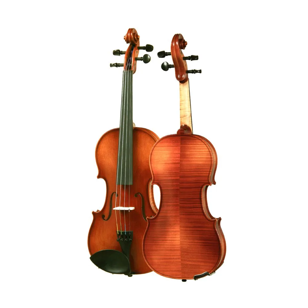 ARS 028 Violin Outfit, 4/4