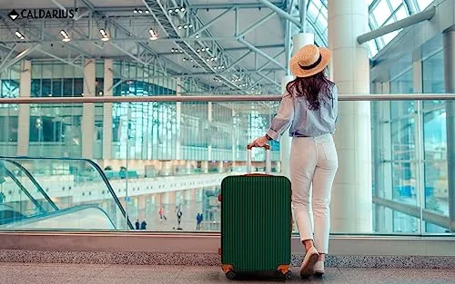 CALDARIUS Suitcase Large & Medium | Suitcase Set | Combination Lock | Travel Bag | Dual Spinner Wheels | Luggage | Lightweight | Hard Shell (Olive, Medium 24"   Large 28")