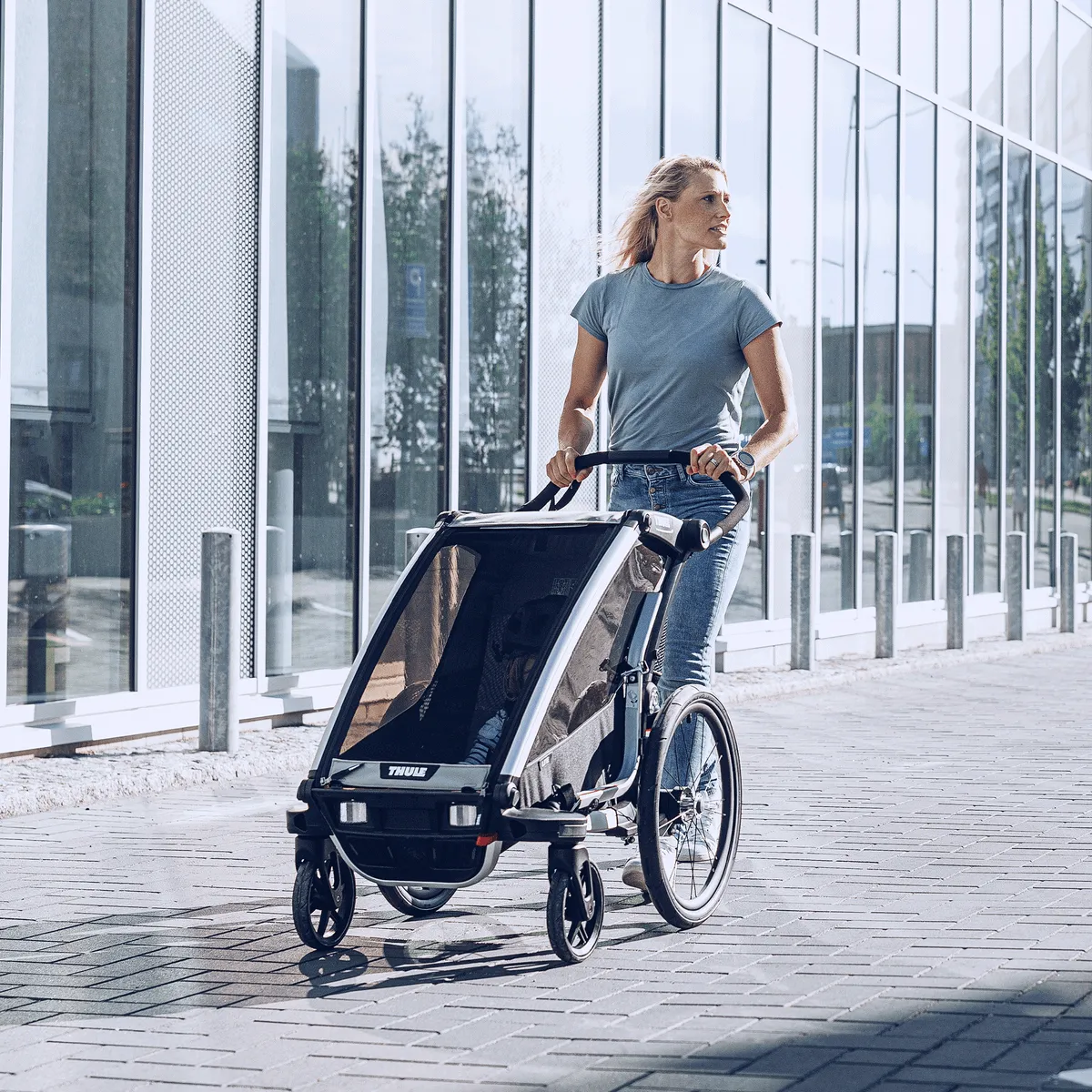 Chariot Lite 2 Stroller
