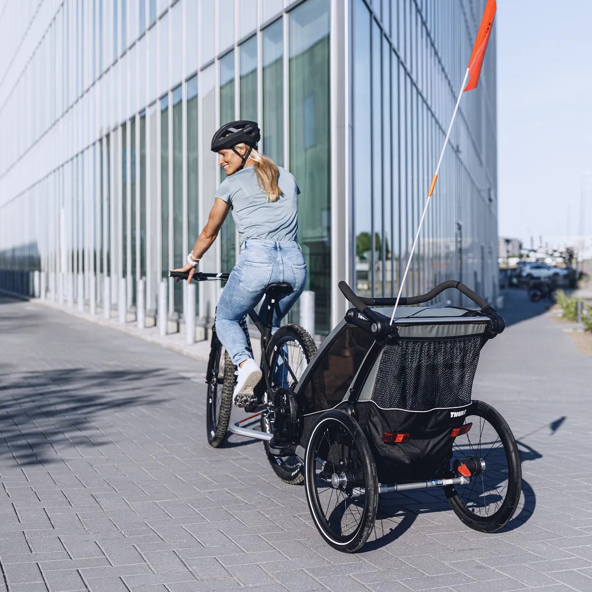 Chariot Lite 2 Stroller