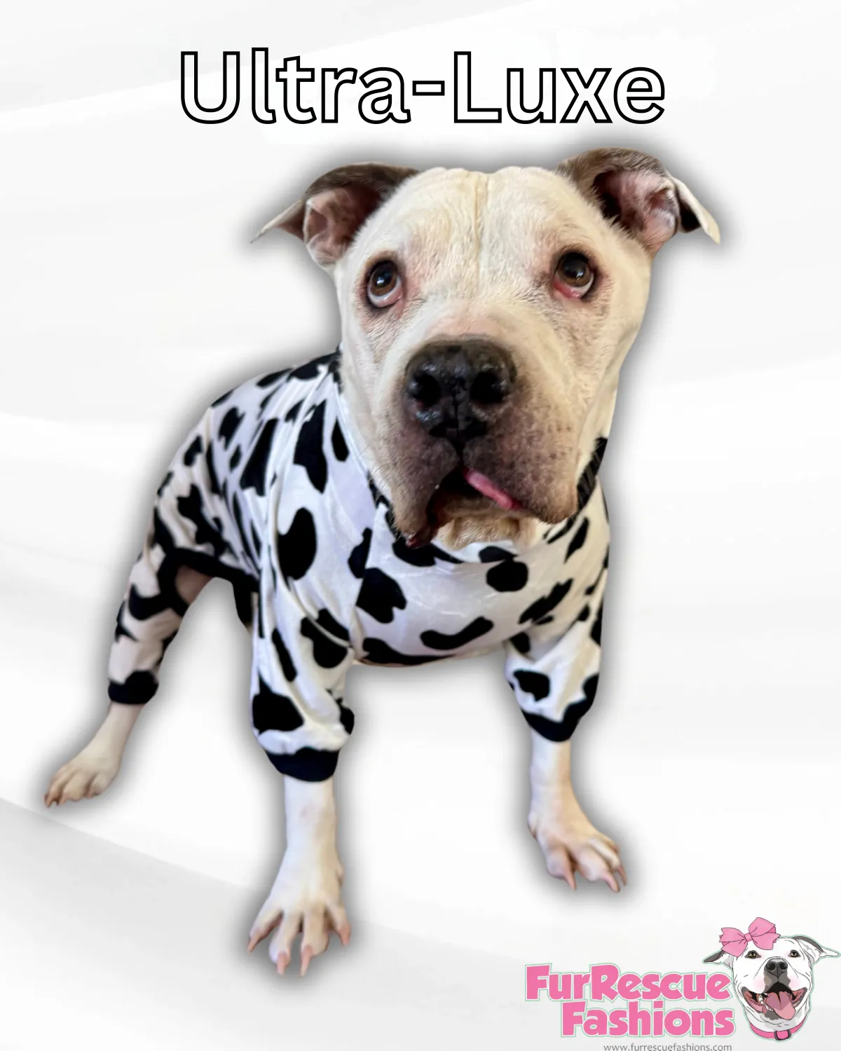 Cow Dog Pawjama🐮