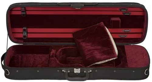 Eastman 200S Violin Outfit