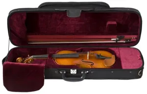 Eastman 200S Violin Outfit