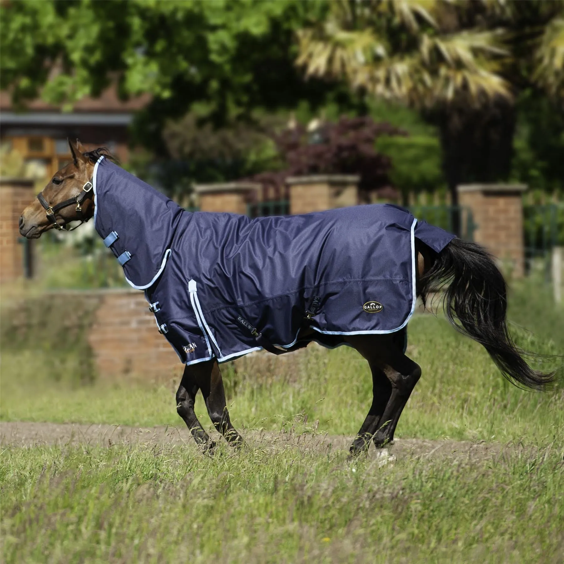 Gallop Equestrian Trojan 350 Combo Turnout