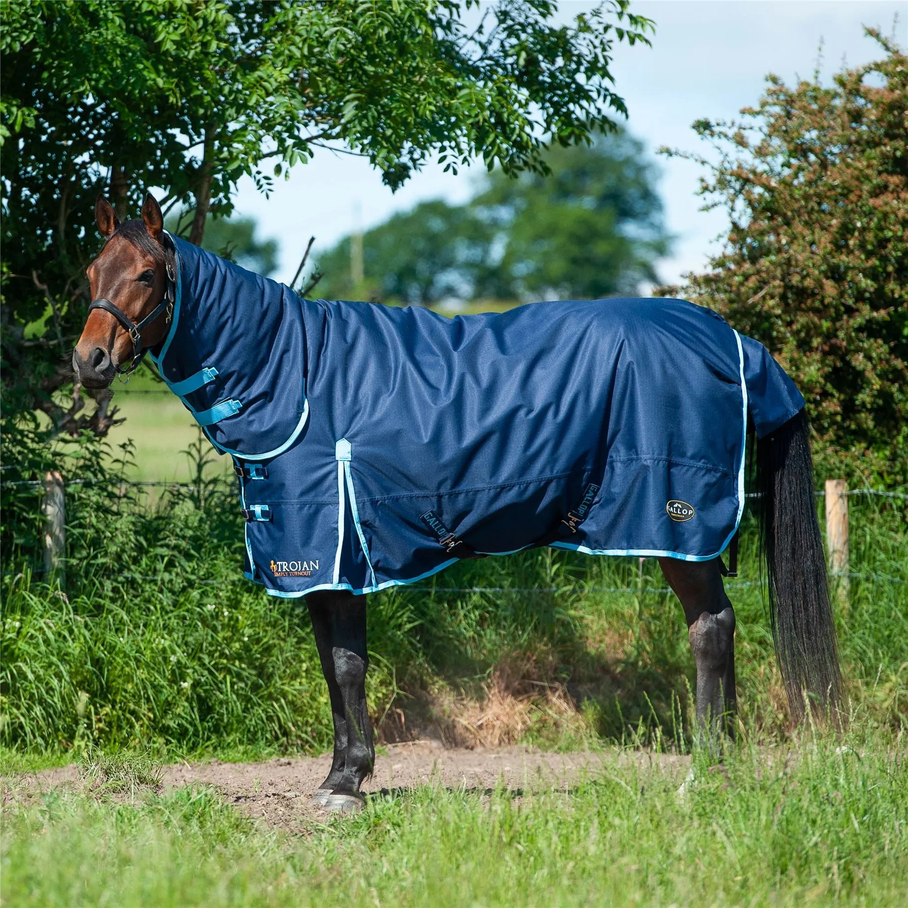 Gallop Equestrian Trojan 350 Combo Turnout