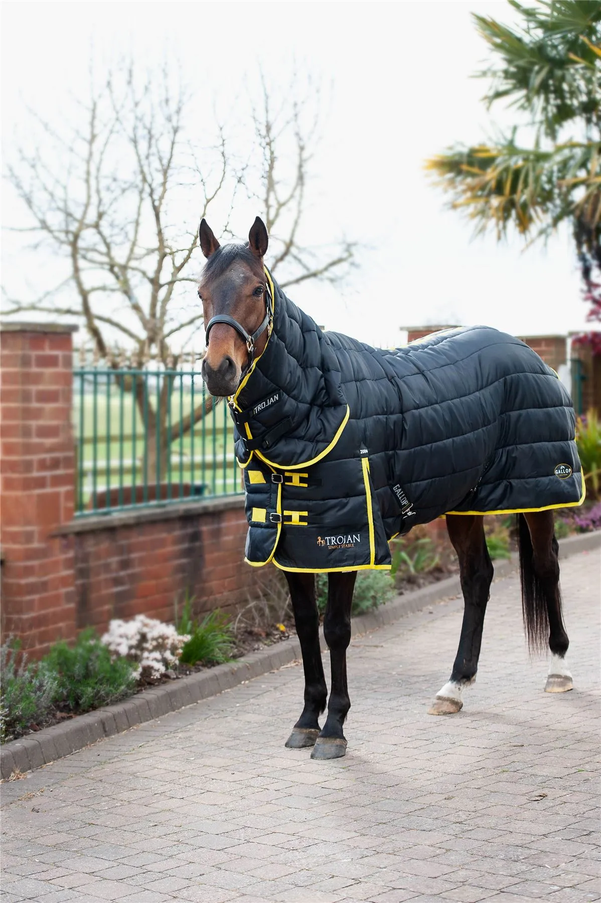 Gallop Equestrian Trojan Maverick 200 Stable Combo