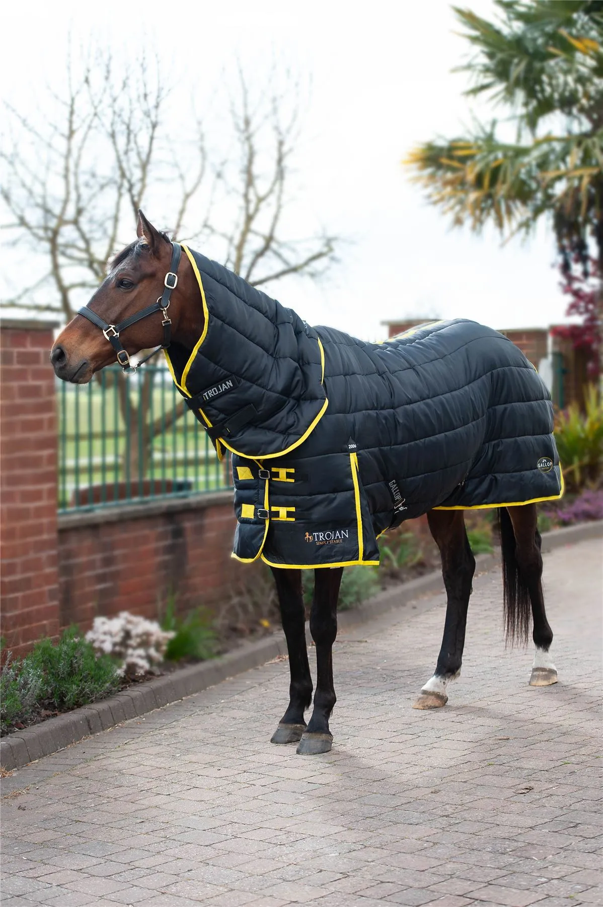 Gallop Equestrian Trojan Maverick 200 Stable Combo