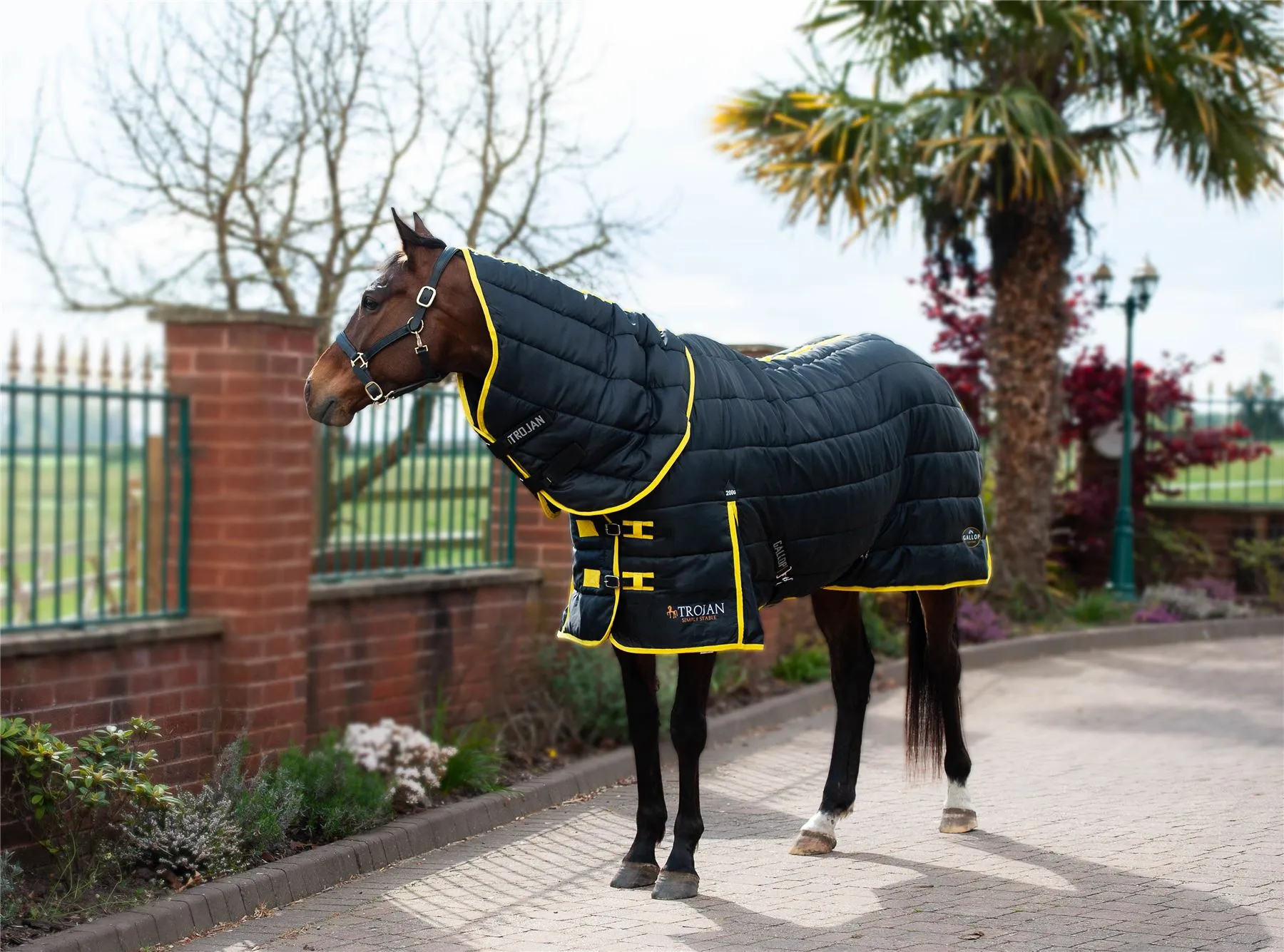 Gallop Equestrian Trojan Maverick 200 Stable Combo