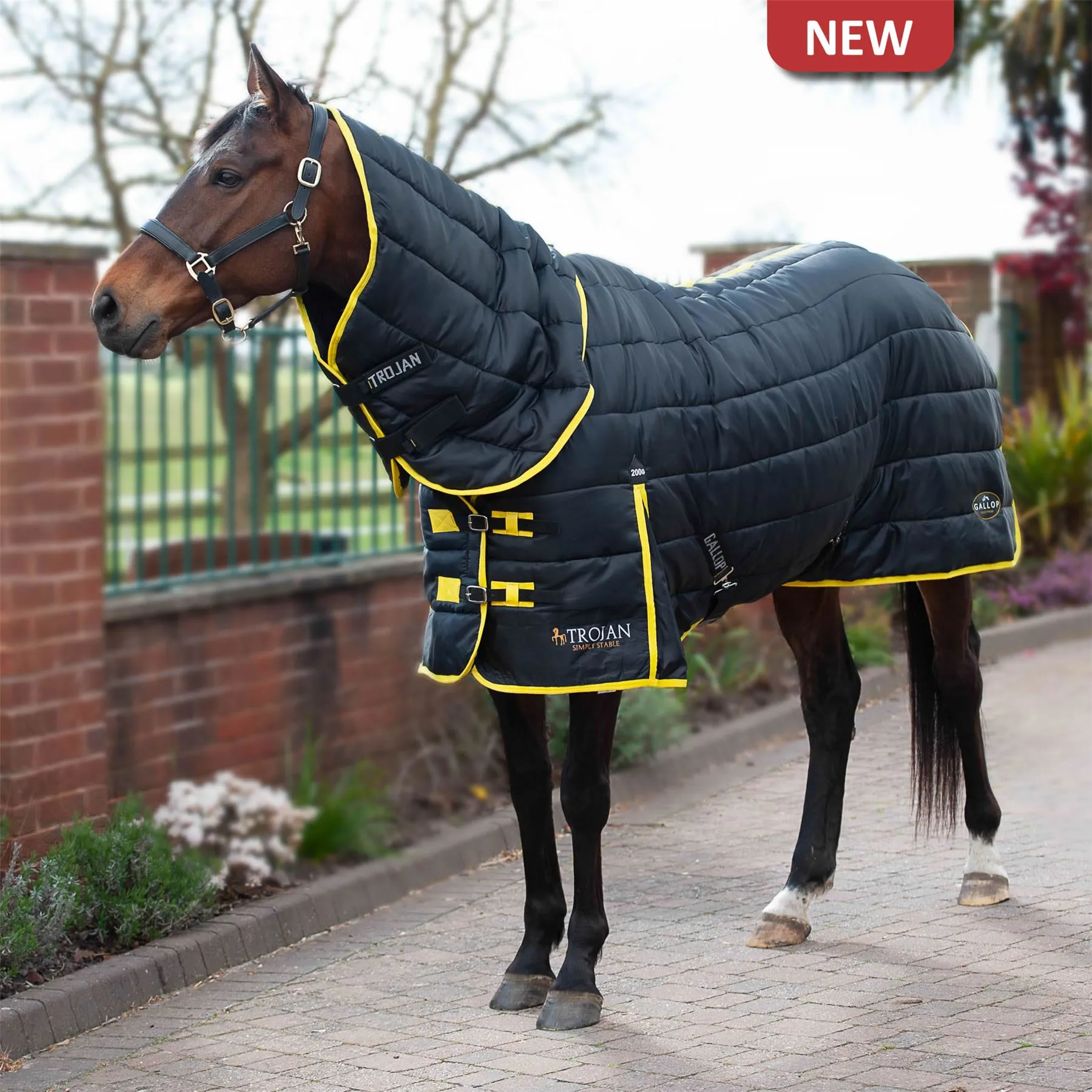 Gallop Equestrian Trojan Maverick 200 Stable Combo