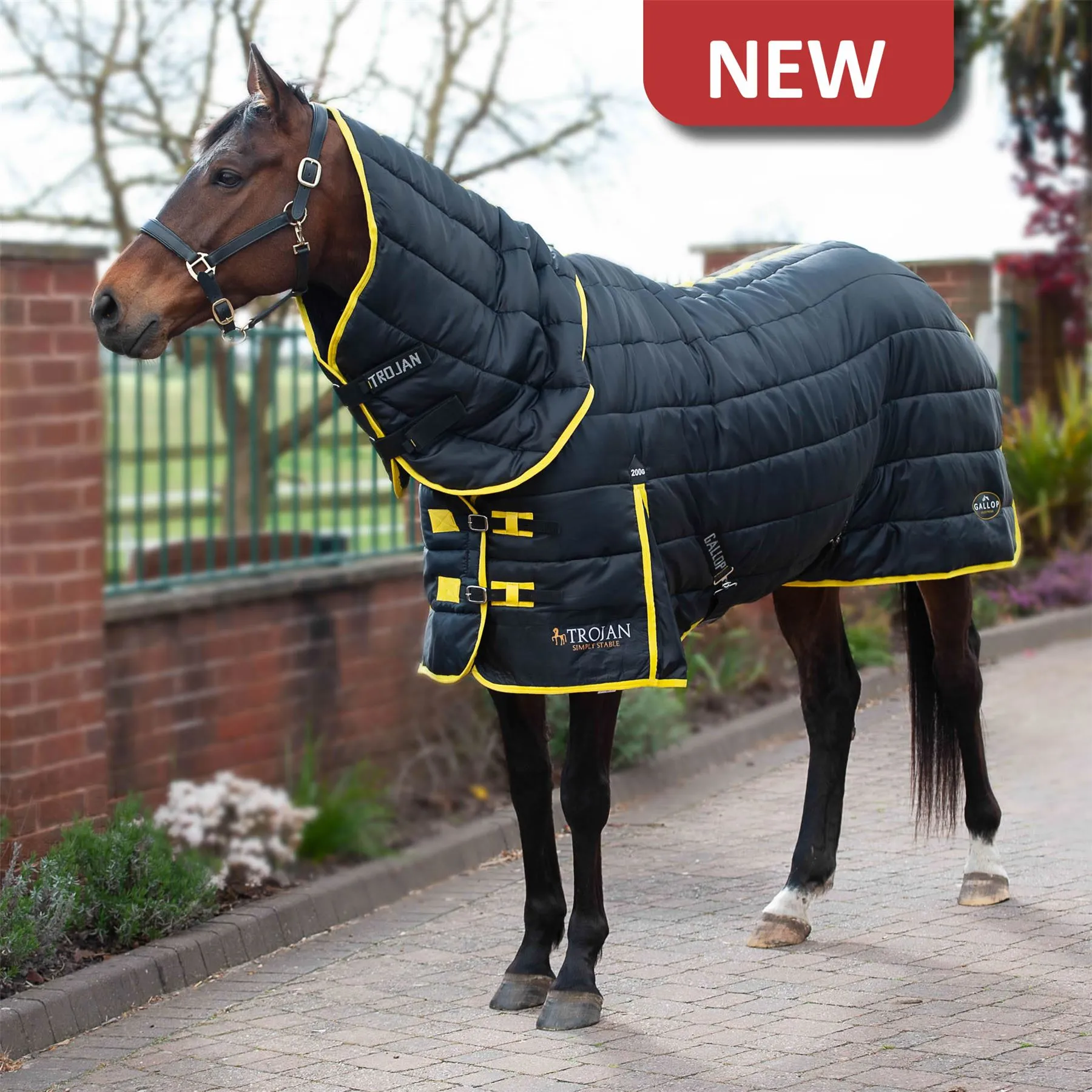 Gallop Equestrian Trojan Maverick 200 Stable Combo