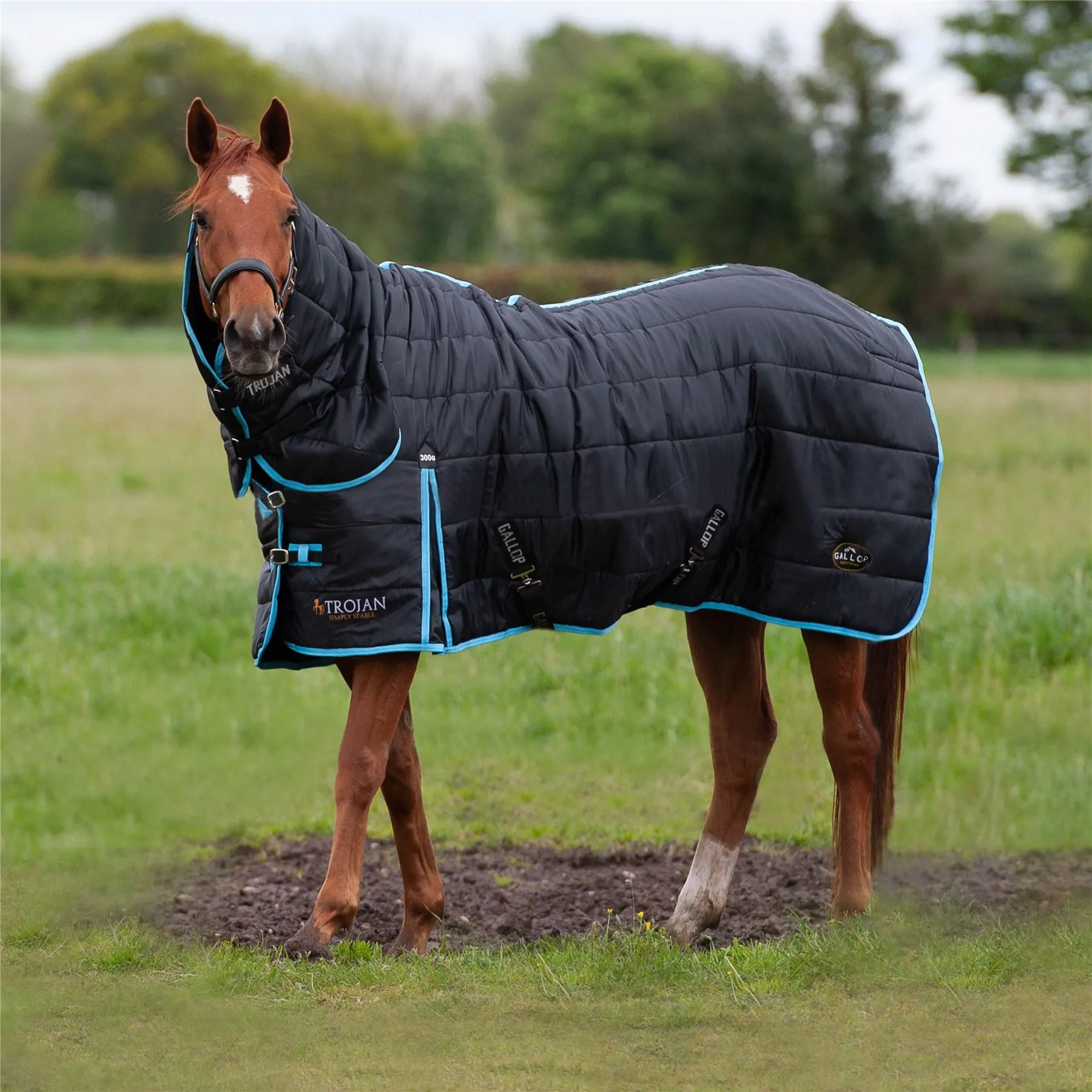 Gallop Equestrian Trojan Maverick 300 Stable Combo
