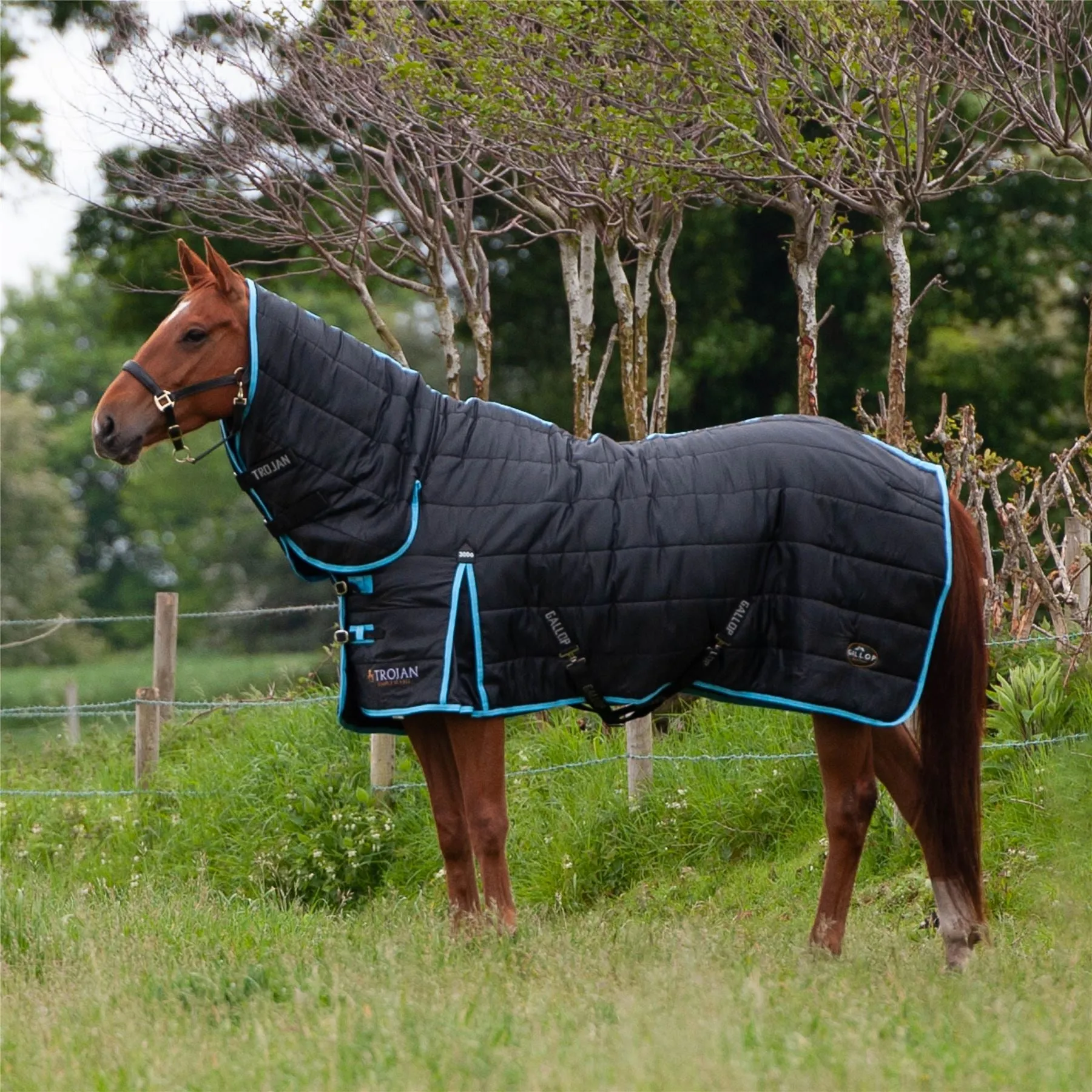 Gallop Equestrian Trojan Maverick 300 Stable Combo