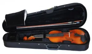 GEWA Pure Ebony Violin Outfit