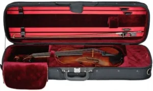 Ivan Dunov "Prodigy" Violin Outfit, 4/4 (oblong case)