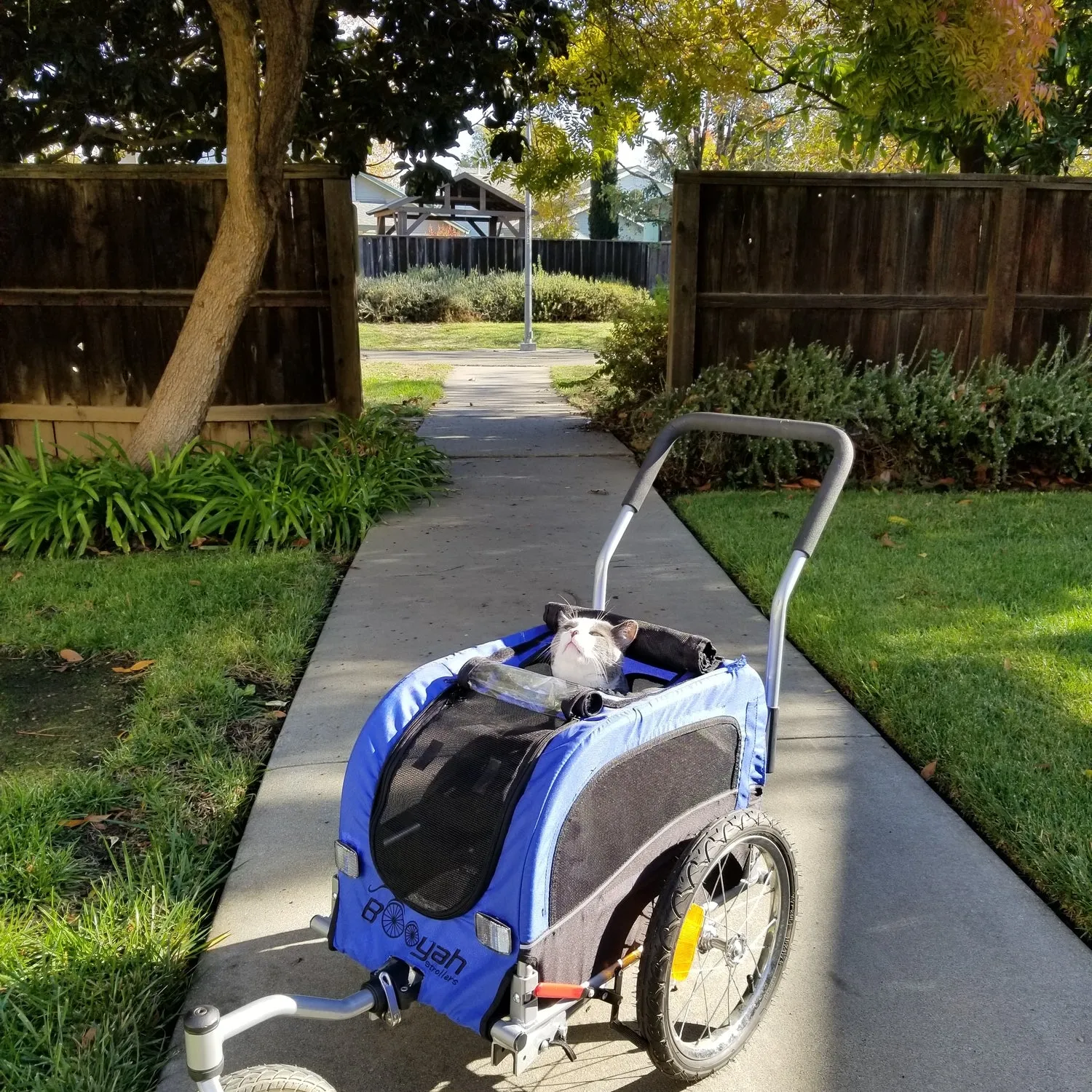 (Open Box Return) Booyah Small Pet Stroller and Trailer - Orange