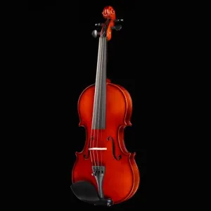 Primo Prelude PN-20 Violin Outfit