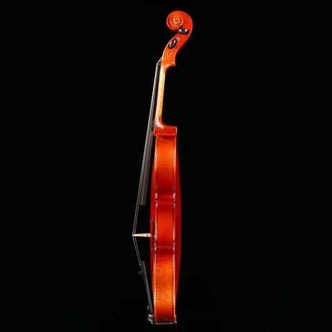 Primo Prelude PN-20 Violin Outfit