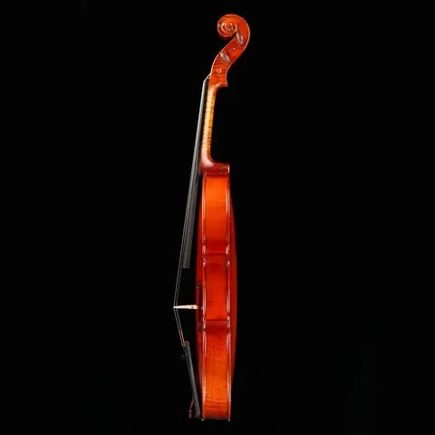 Primo Prelude PN-30 Violin Outfit