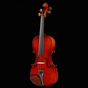 Primo Prelude PN-30 Violin Outfit