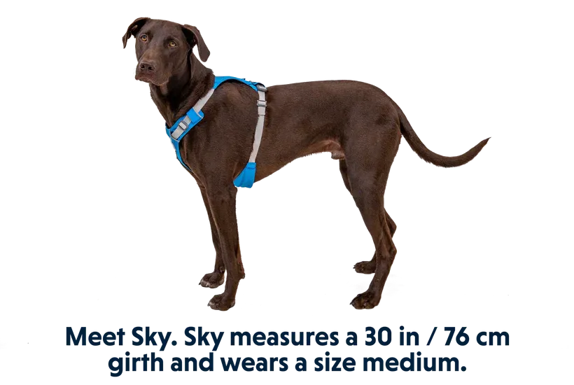 Ruffwear Hi & Light Lightweight Harness