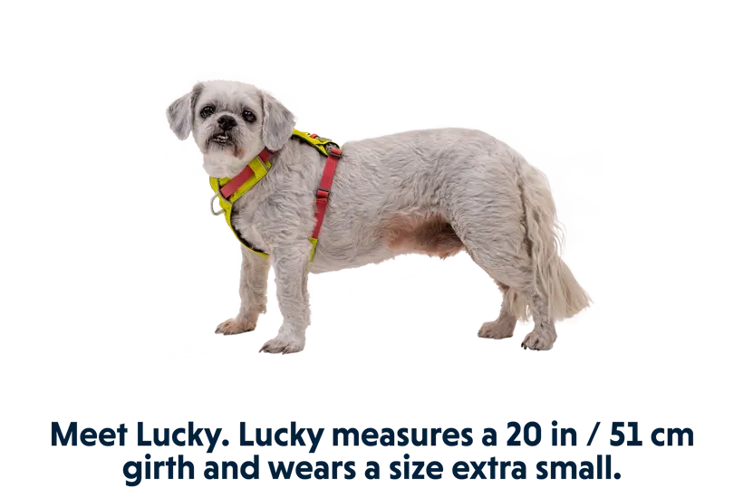 Ruffwear Hi & Light Lightweight Harness