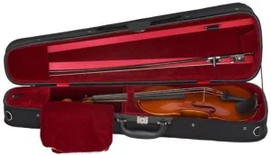 Samuel Eastman 80 Violin Outfit (dart shape case)