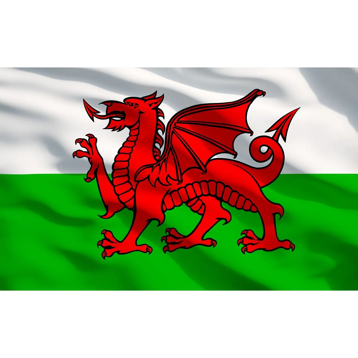 Sealey Toolbox Graphics Pack - Wales