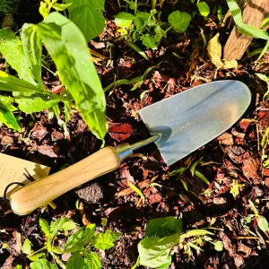 Stainless Steel Traditional Wide Blade Trowel for Multi-Use Garden Jobs