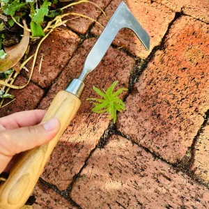 Stainless Steel Weeding Knife for Pavement Cracks and Joins
