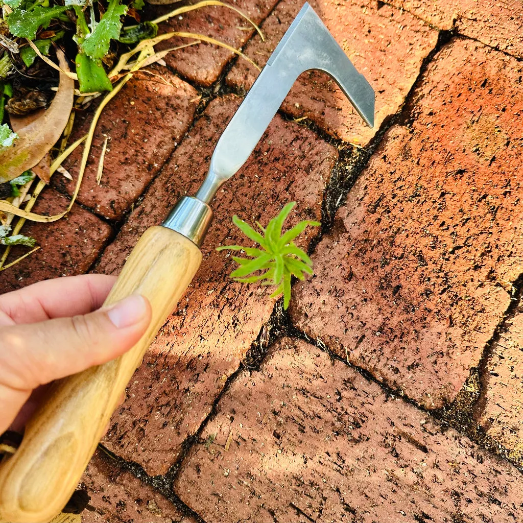 Stainless Steel Weeding Knife for Pavement Cracks and Joins