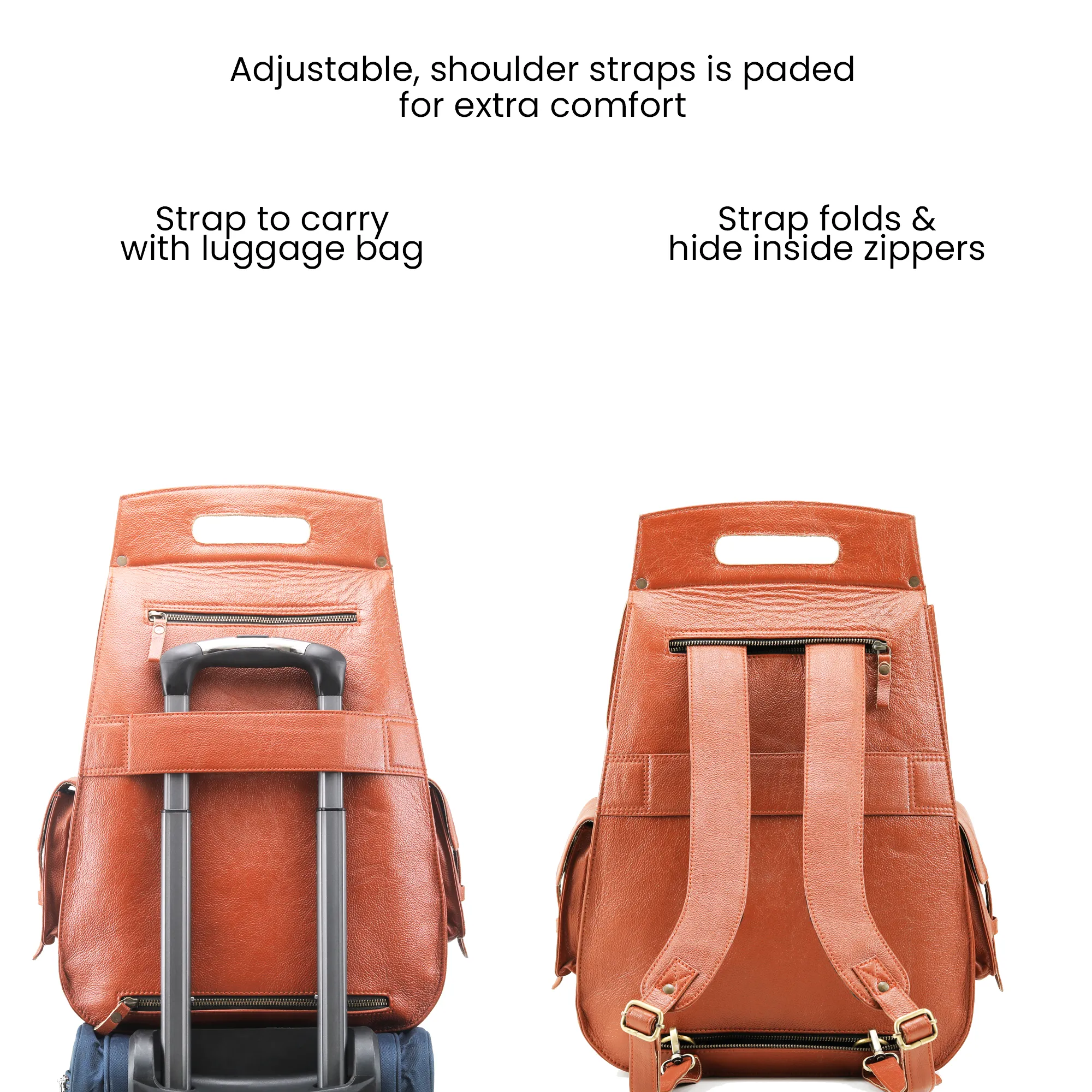 The Elegant Expanse Tan