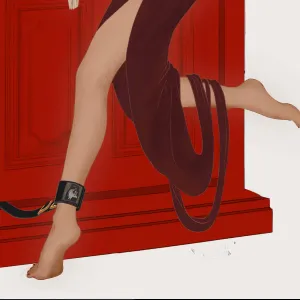 UPKO Under the Door Ankle Restraints