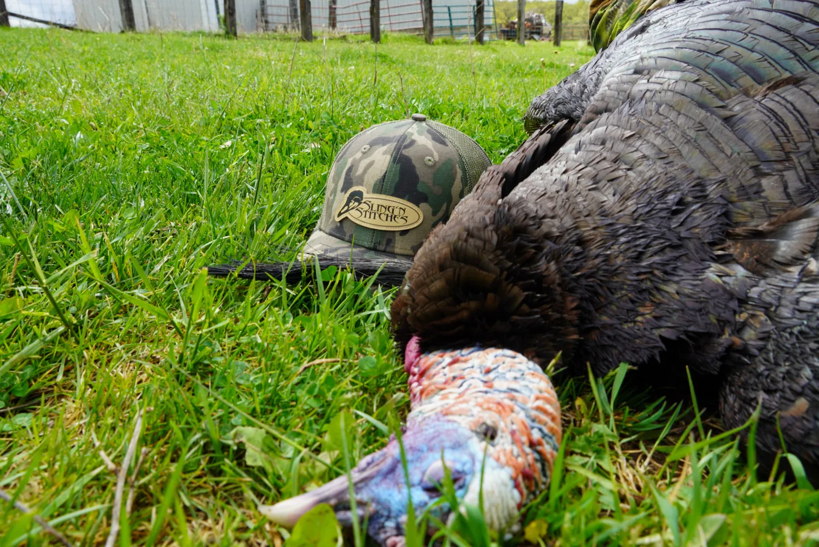 Woodland Camo Turkey logo patch snapback